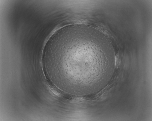 X0000075890195200609291715