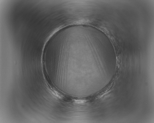 X0000075890196200609291714