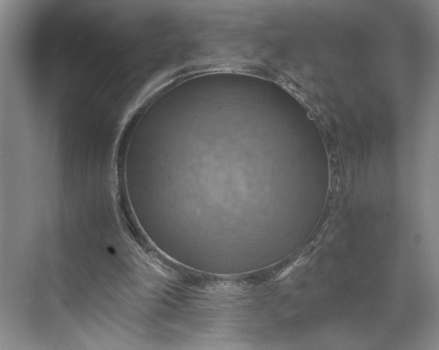 X0000075890198200609291714