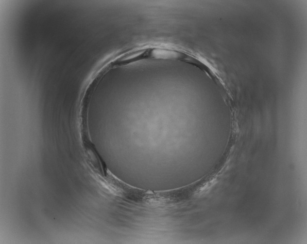 X0000075890199200609291714