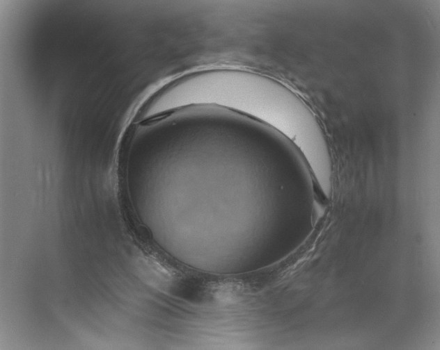 X0000075890200200609291714