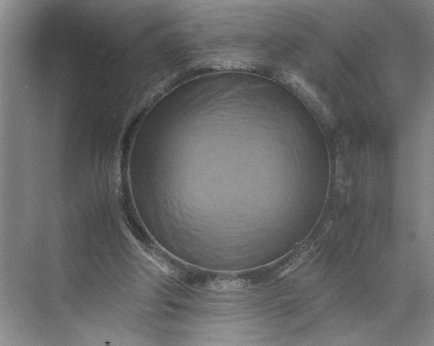 X0000075890202200609291714