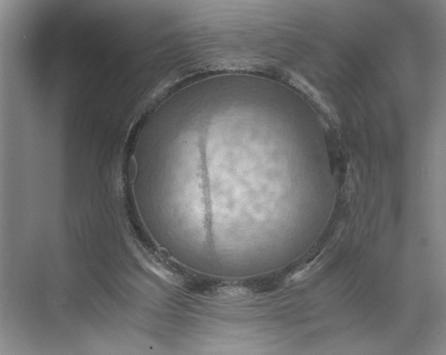 X0000075890203200609291714