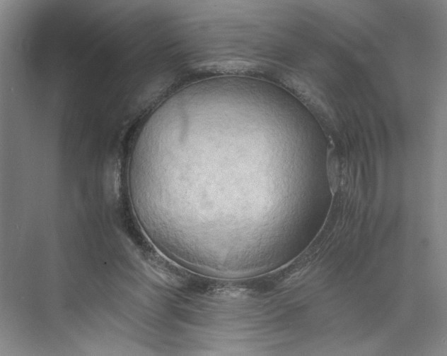 X0000075890206200609291714