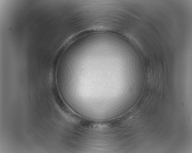 X0000075890208200609291714