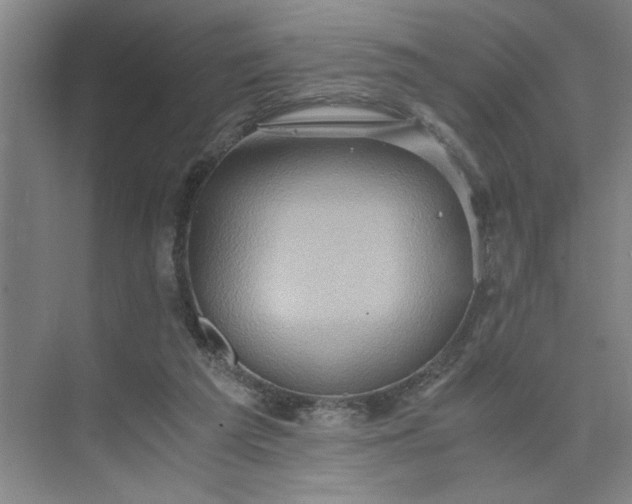 X0000075890209200609291714