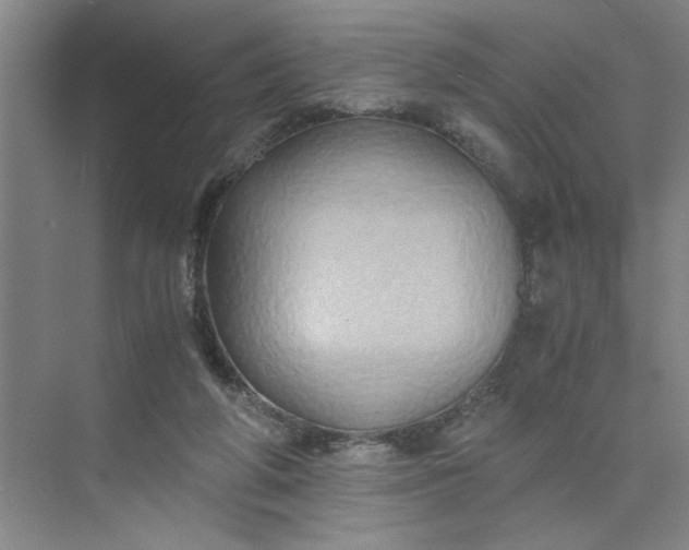 X0000075890210200609291714