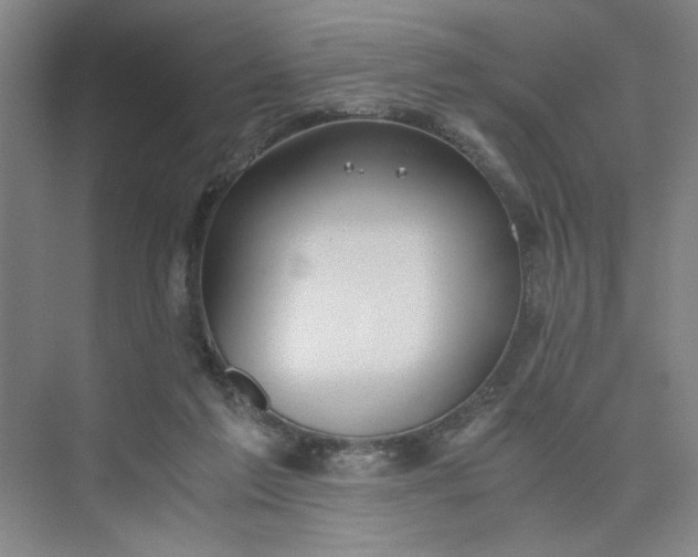 X0000075890213200609291714