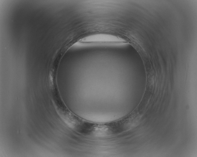 X0000075890214200609291714