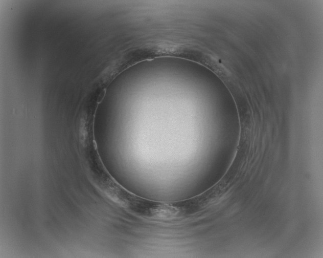 X0000075890215200609291714