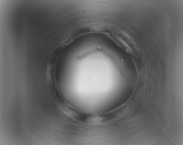 X0000075890217200609291714