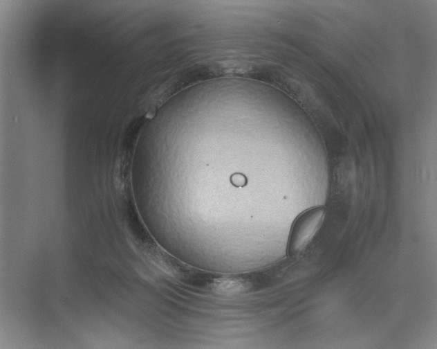 X0000075890218200609291714