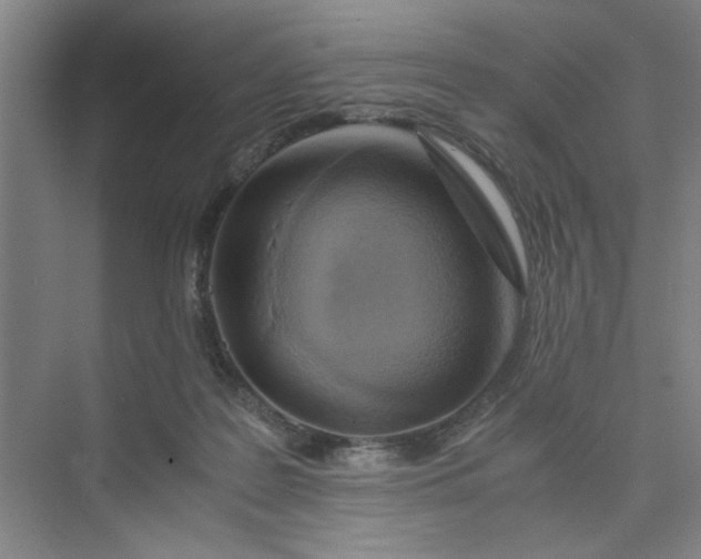 X0000075890219200609291714