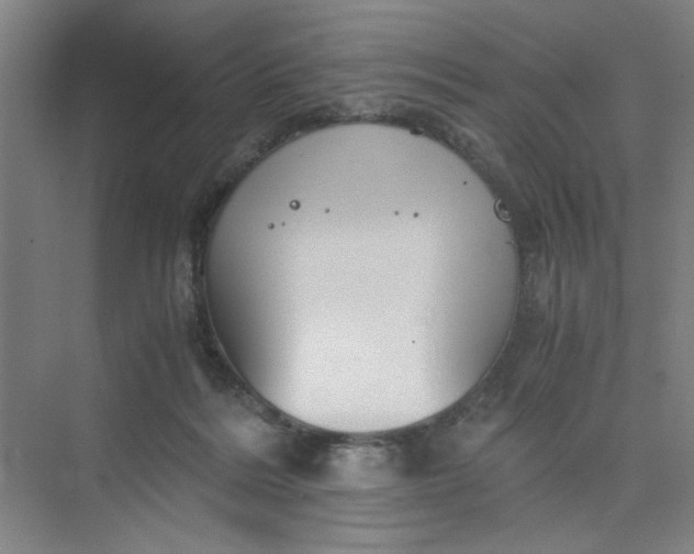 X0000075890220200609291714