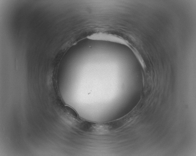 X0000075890221200609291714