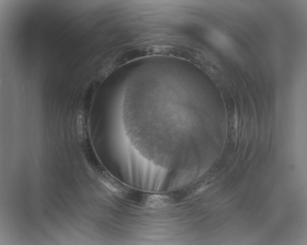 X0000075890222200609291714