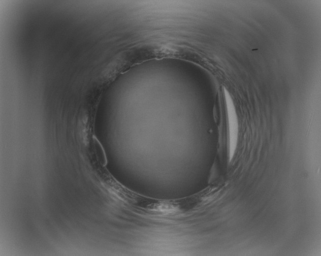 X0000075890223200609291714