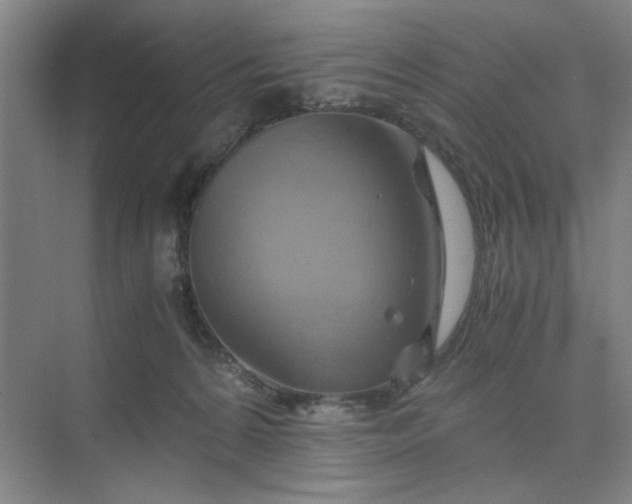 X0000075890224200609291714