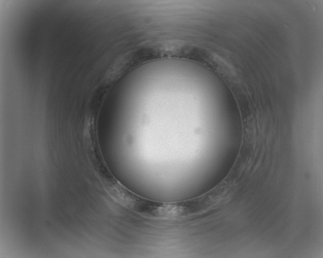 X0000075890225200609291714