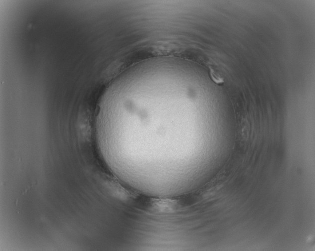 X0000075890226200609291714