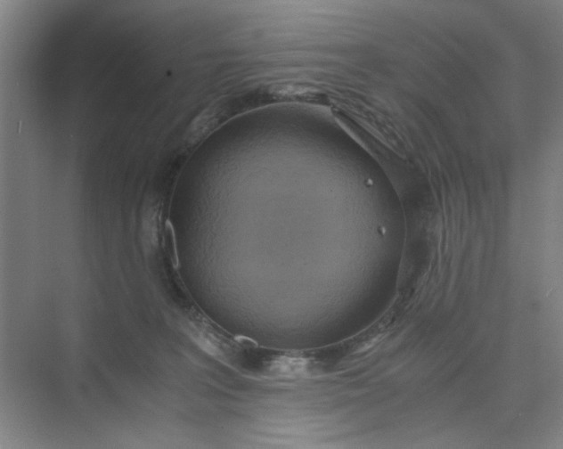 X0000075890227200609291714