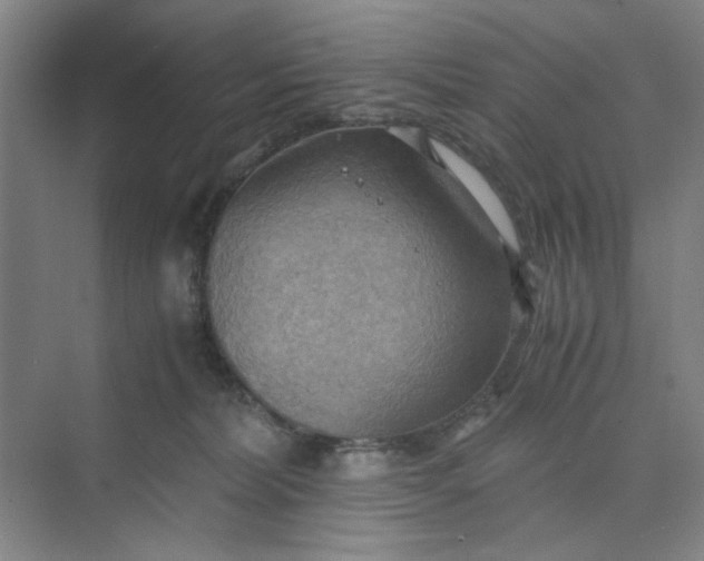 X0000075890228200609291714