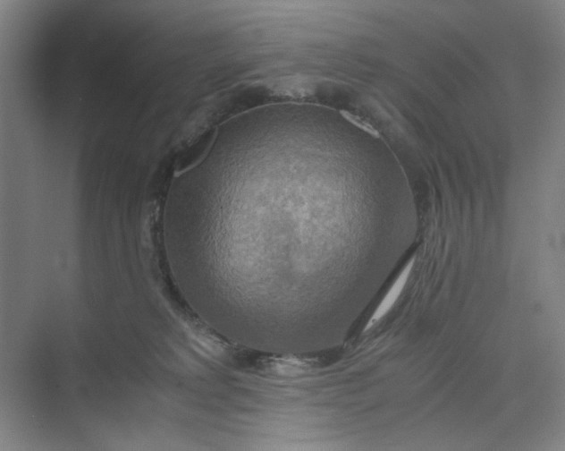 X0000075890229200609291714