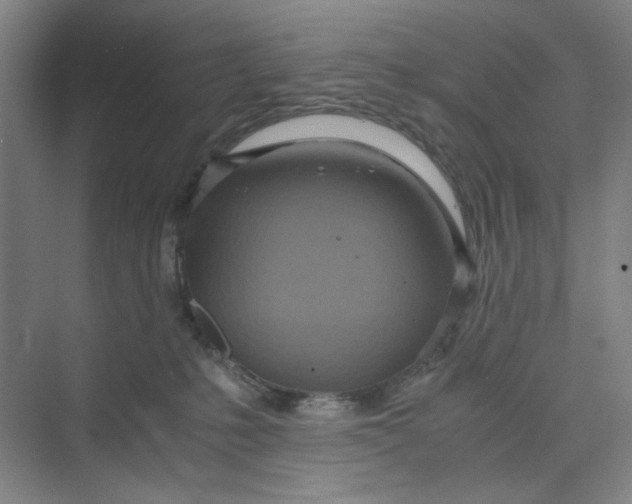 X0000075890231200609291714