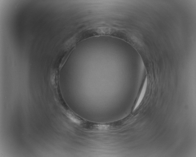 X0000075890233200609291714