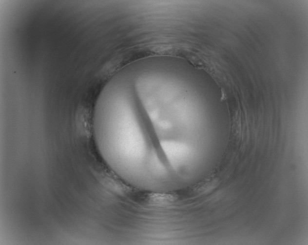 X0000075890234200609291714