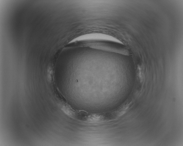 X0000075890235200609291714