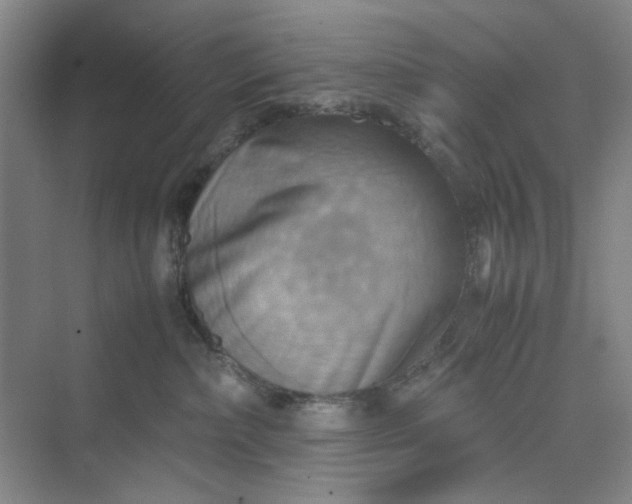 X0000075890236200609291714