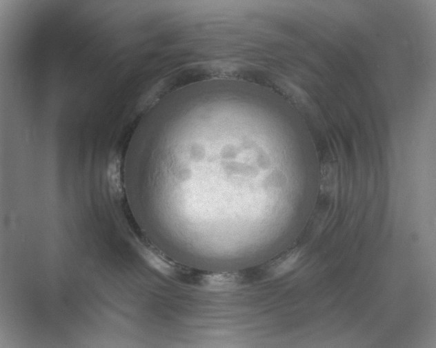 X0000075890238200609291714