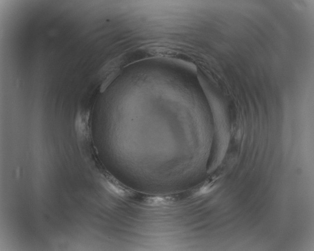 X0000075890239200609291714