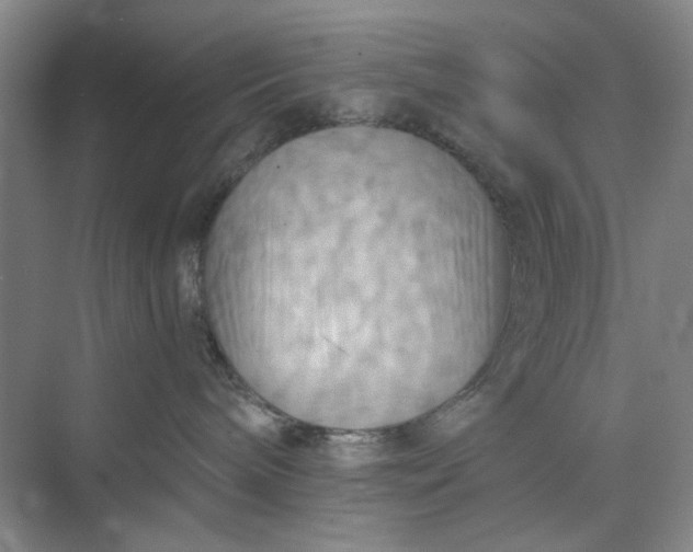 X0000075890240200609291714