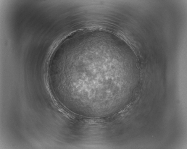 X0000075890241200609291713