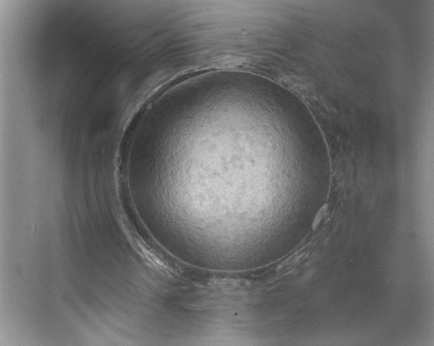 X0000075890242200609291713