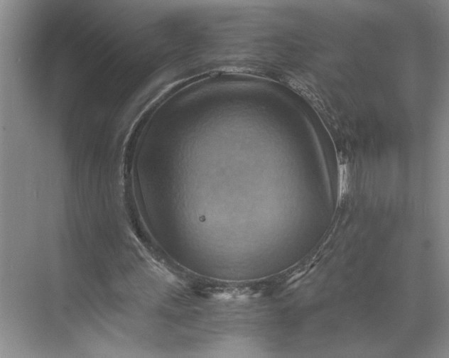 X0000075890243200609291713