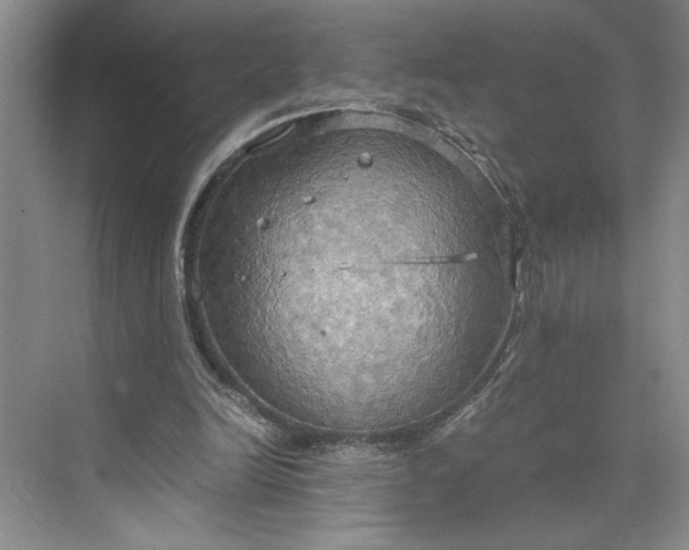 X0000075890246200609291713