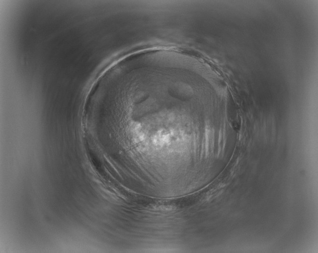 X0000075890247200609291713