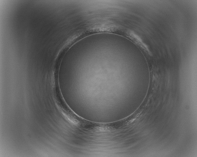 X0000075890250200609291713