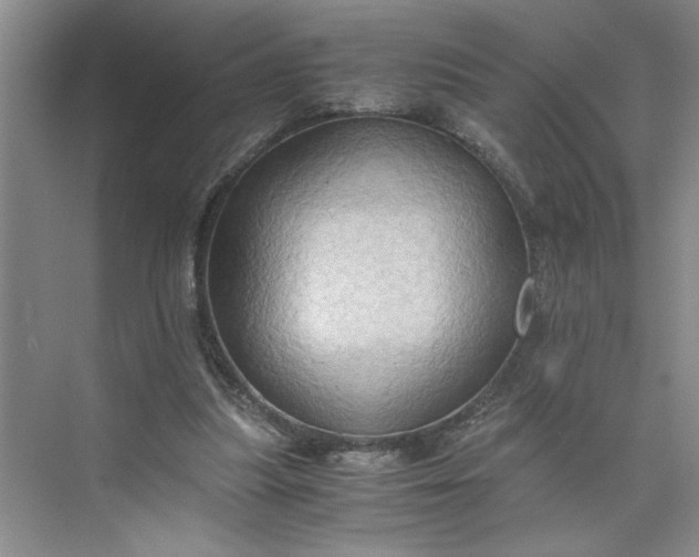 X0000075890251200609291713