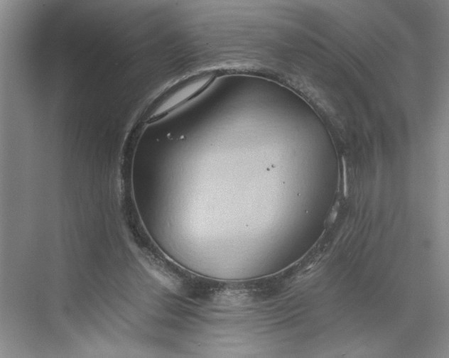 X0000075890252200609291713