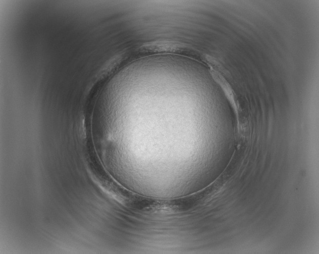 X0000075890254200609291713