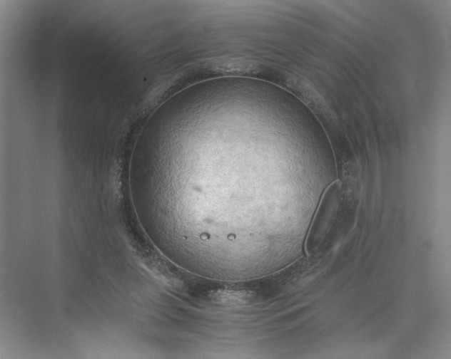 X0000075890255200609291713