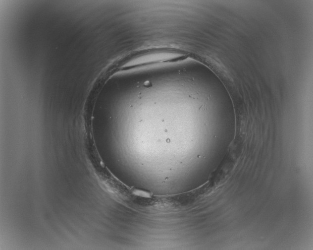 X0000075890256200609291713