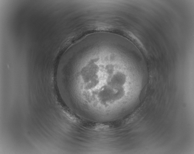 X0000075890257200609291713