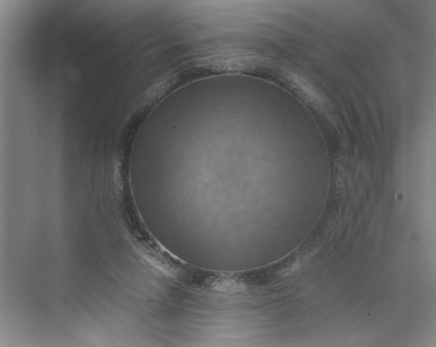 X0000075890258200609291713