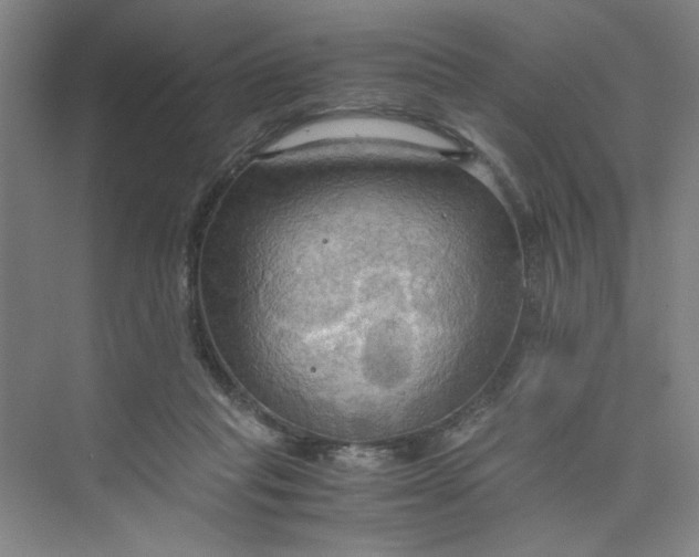 X0000075890261200609291713