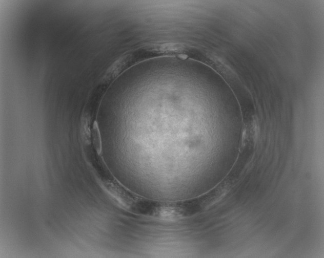 X0000075890264200609291713